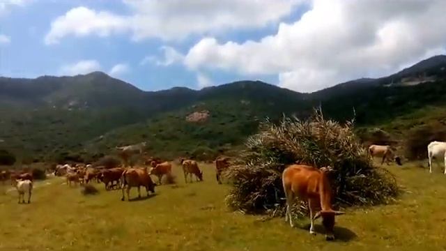 Мото Трип выходного дня по Вьетнаму смотреть онлайн