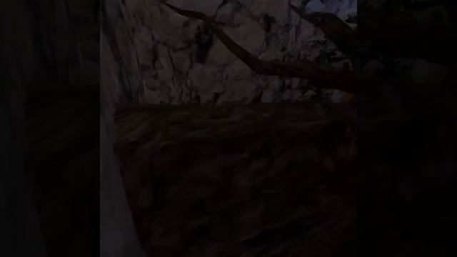 играю горилла так не просто так а потому что я буду играть смотреть онлайн