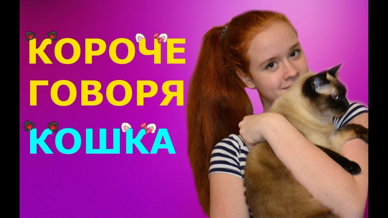 КОРОЧЕ ГОВОРЯ, КОШКА