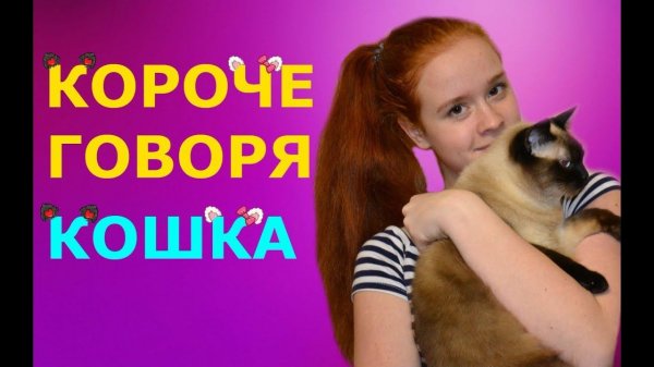 КОРОЧЕ ГОВОРЯ, КОШКА