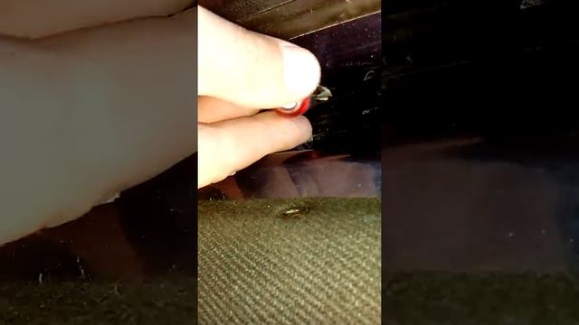 Дверь не открывается ни изнутри ни снаружи, открываем смотреть онлайн