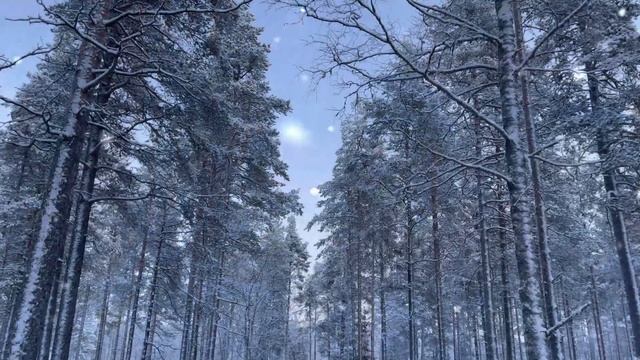 Финляндия | простые радости | Прелести жизни в Финляндии | Жизнь в Финляндии смотреть онлайн