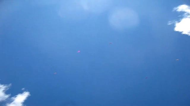 Фестиваль Малой Авиации в ЛюбытиноAirLines 12-14 августа 2016г смотреть онлайн