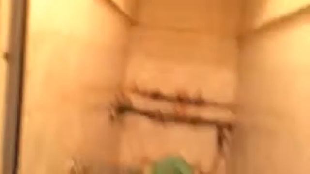 Малосемейка пасечная смотреть онлайн