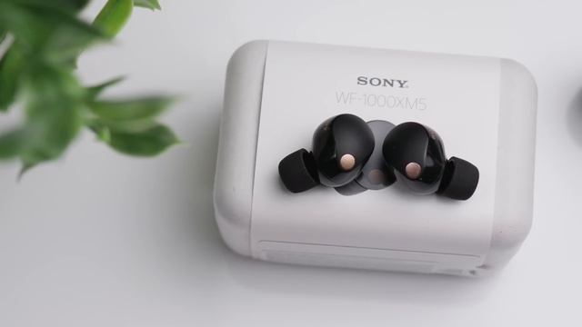 Ultimate Battle: Sony WF-1000XM5 vs Airpods Pro 2 vs Bose Quietcomfort II смотреть онлайн