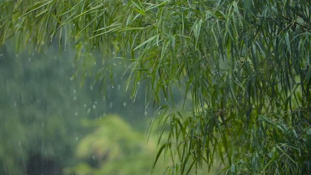 Очень Красивая и Очень Грустная Музыка