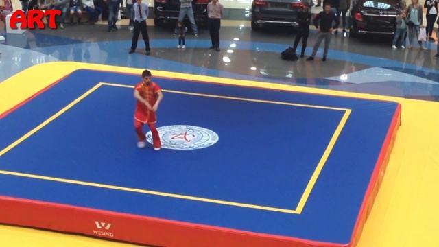Показательные выступление в Тбилиси по кунг фу/Demonstrative Performance In Tbilisi On Kung Fu