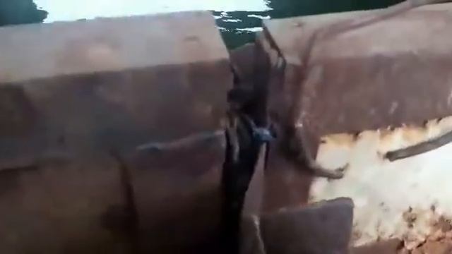 Беспредел с нерестом в Каневском районе Краснодарского края N2 смотреть онлайн