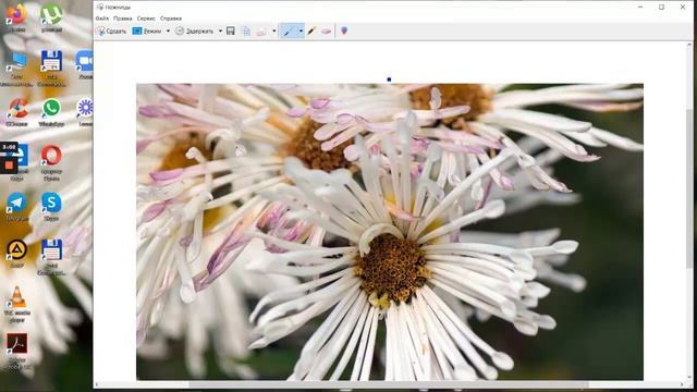 Как сделать скриншот части экрана или целиком в Windows без интернета смотреть онлайн