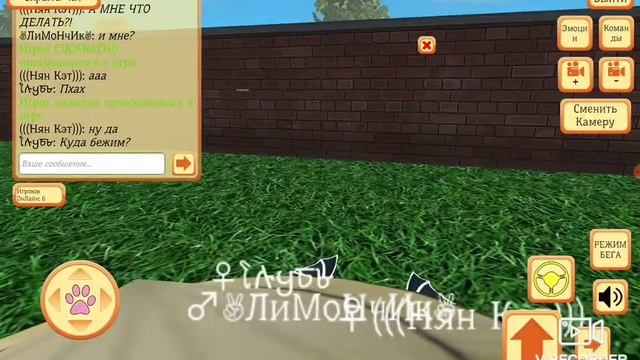 Игры с нян кэтом и глубиною в Cute pocket cat 3D part 2 #2 смотреть онлайн