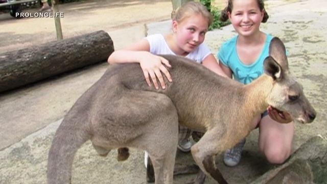 Английский язык в Сингапуре. Проживание. Работа. 1 Обучение