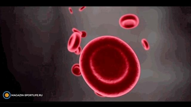 Обзор часов GARMIN VENU SQ на русском языке! смотреть онлайн