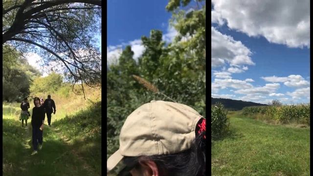 sasha phpp. - prozrachniy смотреть онлайн