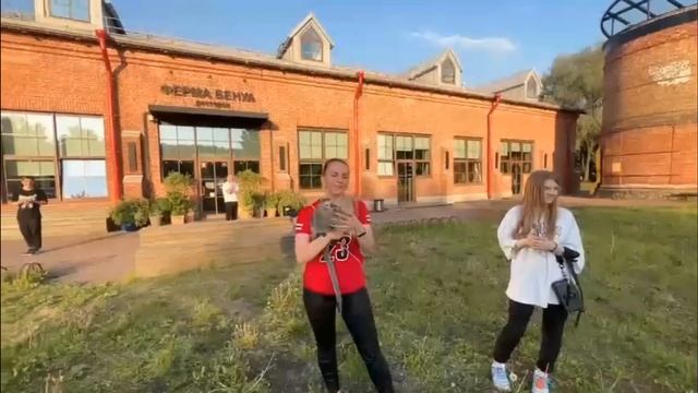 бустер стрим с обезьянами