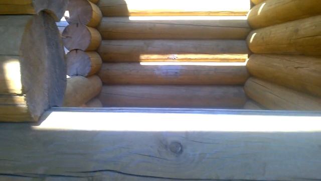 Баня из оцилиндрованного бревна(д22-лиственица) смотреть онлайн