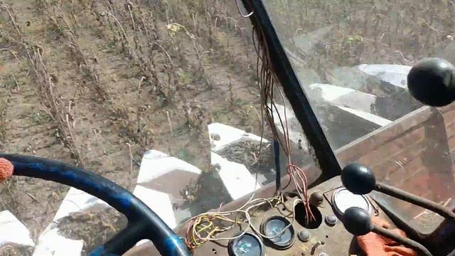 Комбайн Нива СК 5 уборка подсолнуха , рассказываю о проблемах с комбайном смотреть онлайн