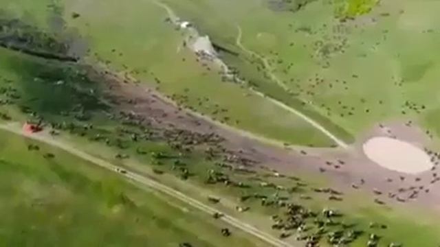 Беной лямнашкахь ⛰ смотреть онлайн