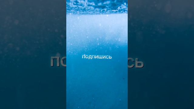 Звуки океана и шум воды, полное расслабление 1 час смотреть онлайн