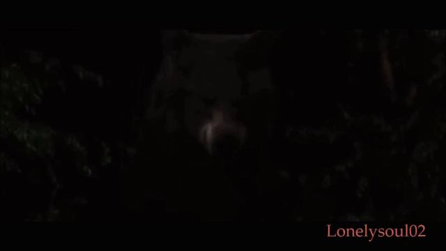 Jacob and Bella fanfiction: Perché lui è il mio sole смотреть онлайн