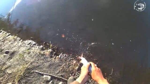 3 серия Клевой рыбалки в Якутии! Travel Yakutia