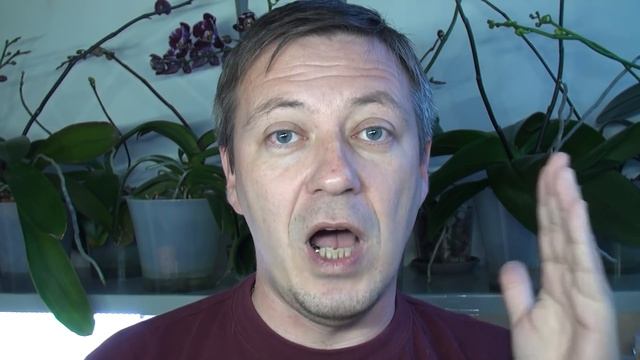 ВОПРОСЫ по посадке ОРХИДЕЙ в ПЕННОСТЕКЛО GrowPlant Gidroton смотреть онлайн