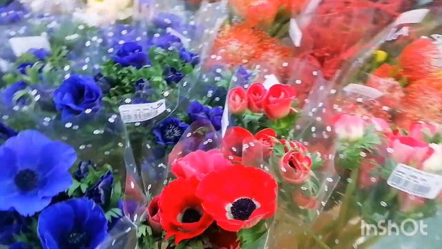 Обзор Еврофлор. Магазин цветов. смотреть онлайн