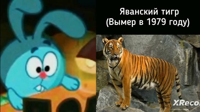 Животные которые вымерли недавно смотреть онлайн