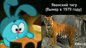 Животные которые вымерли недавно