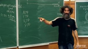 Лекция 3. Транскрипция, трансляция. Окштейн И.Л., МФТИ