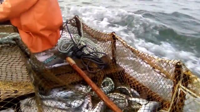 Ка-19 смотреть онлайн