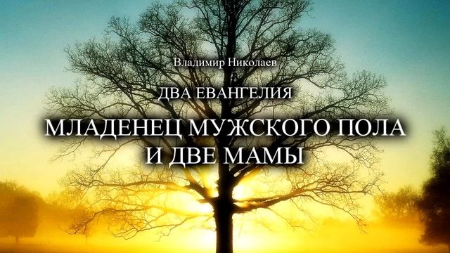 МЛАДЕНЕЦ МУЖСКОГО ПОЛА И ДВЕ МАМЫ смотреть онлайн