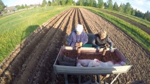 Т-40АМ/ Самодельная картофелесажалка/ Легко и Просто))