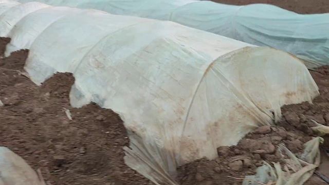 Это Просто Жесть Что Произошло смотреть онлайн