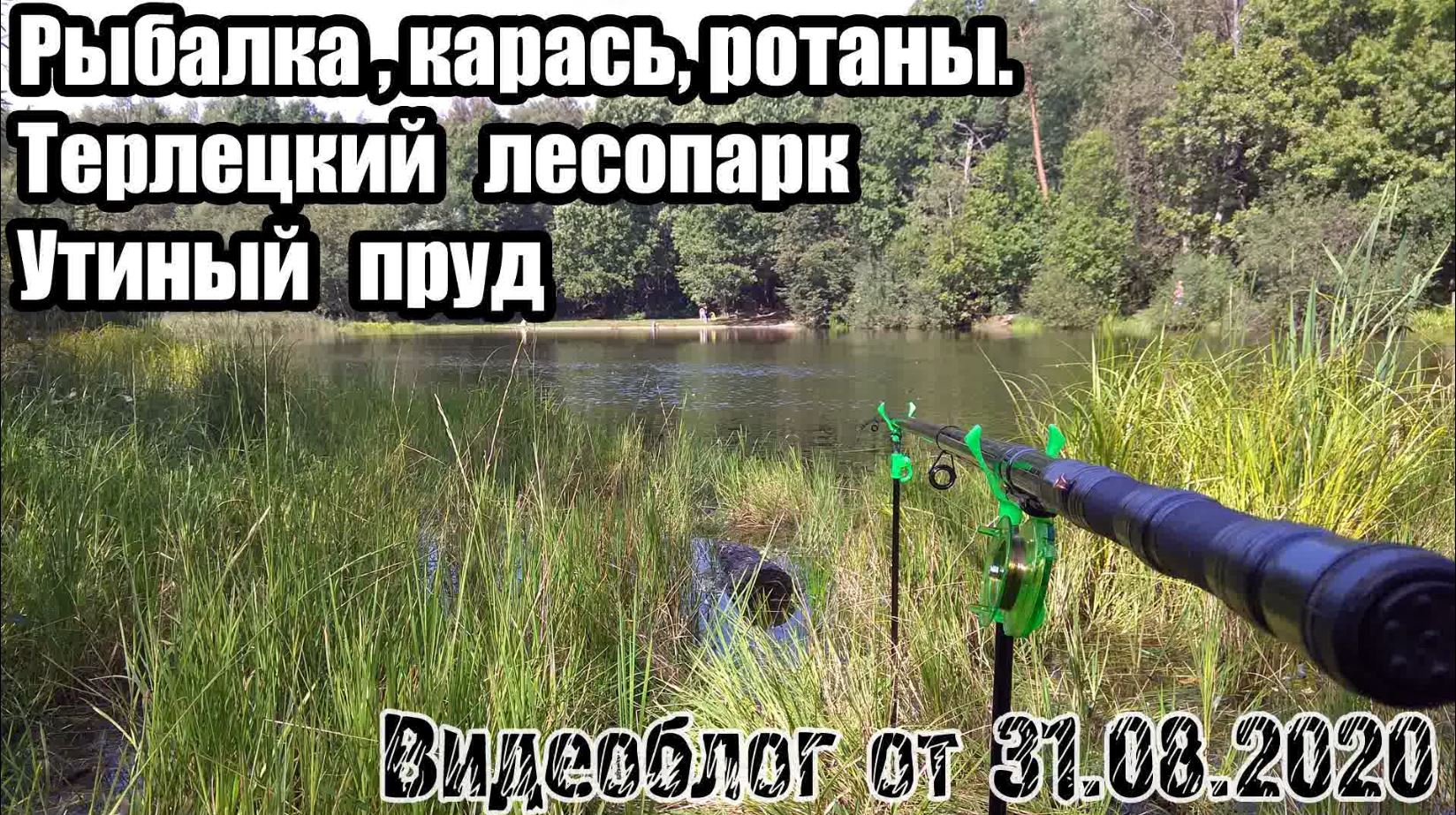 Рыбалка на Утином пруду в Ткрлецком лесопарке (31.08.2020).