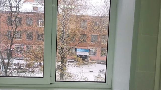 Снежок и беспокойная ворона. 27.10. 23. ДР Кирилла. смотреть онлайн