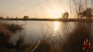 Трогательная песня про маму до слёз | Вечная светлая память моей маме