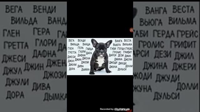 Имя для девочек собачек смотреть онлайн