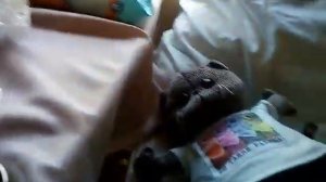 Влог едем с басиками в поезде