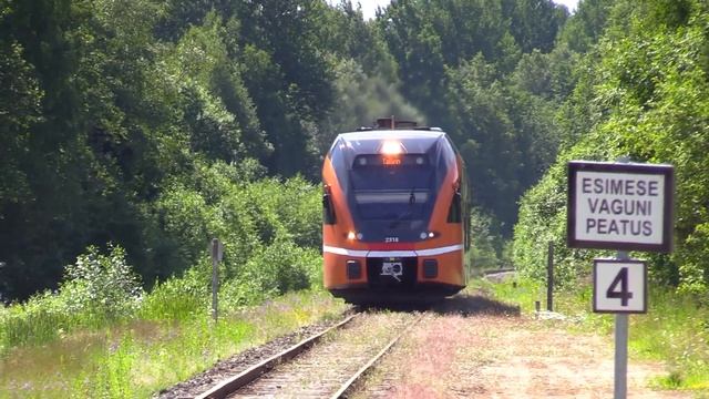 Штадлерский дизель-поезд 2318 на о.п. Коогисте / Stadler DMU 2318 at Koogiste stop смотреть онлайн