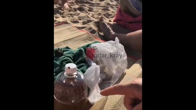 БОЖЬИ КОРОВКИ / АНАПА / НАШЕСТВИЕ смотреть онлайн