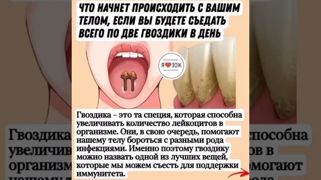 гвоздика