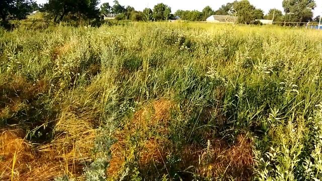 Село скатывается до уровня Африки и Индии. смотреть онлайн