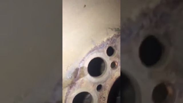 Маховик двигателя Porsche Cayenne ♛TOPCAR♛ vantageGTR 3/25 смотреть онлайн