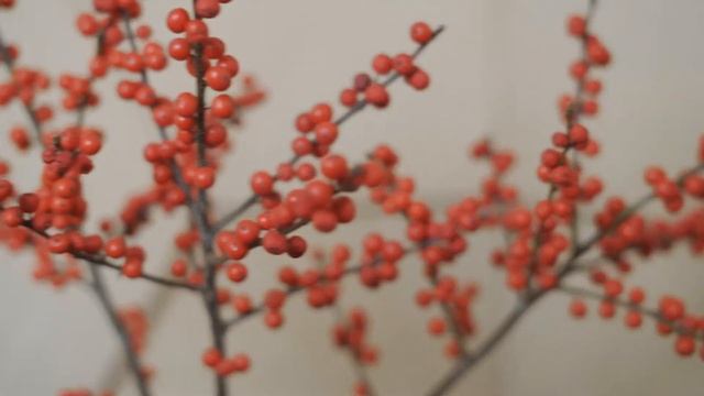 КАФЕ BEANS & LEAVES смотреть онлайн