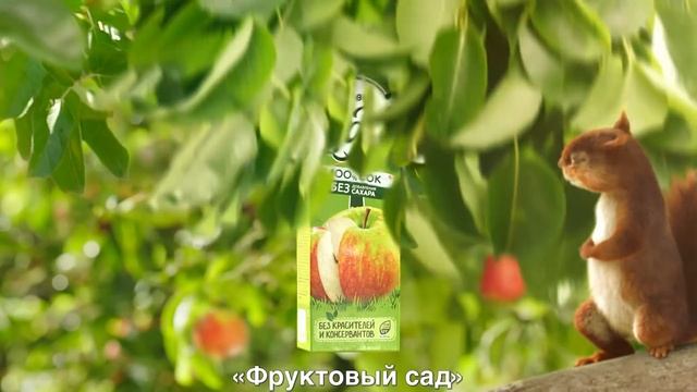 Вкусный 100% сок «Фруктовый сад»: 10 яблок в каждой пачке! смотреть онлайн