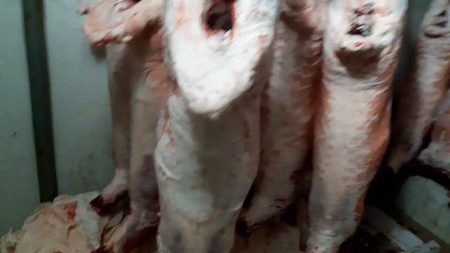 Баранина мясо Халяль смотреть онлайн