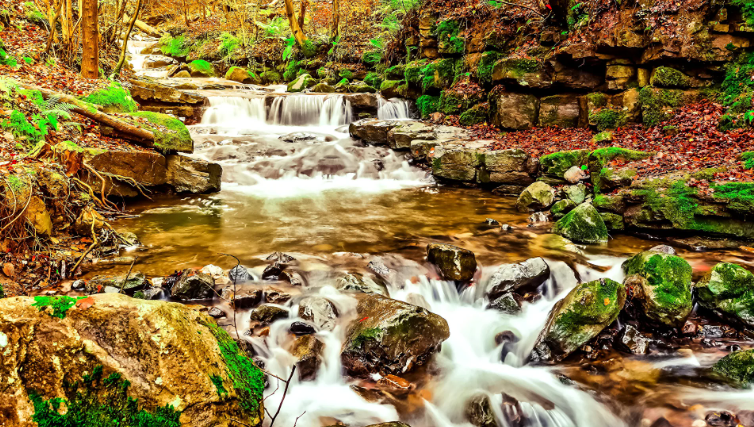 Успокаивающий осенний ручей ✦ Успокаивающие Звуки ✦ Relax Sleep смотреть онлайн