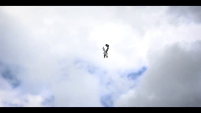 TWIN OTTER Teaser | Flex Innovations смотреть онлайн