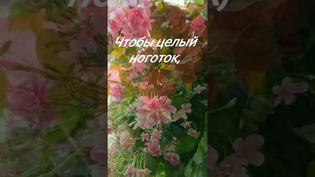 Красивое веселое поздравление с днём рождения женщине!греческая музыка!см. вертикально на весь экра смотреть онлайн