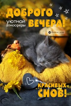 Желаю хорошего вечера и отдыха от событий сегодняшнего дня. Желаю спокойствия, уединения с собой! смотреть онлайн